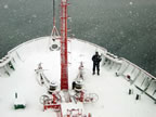 Antartic